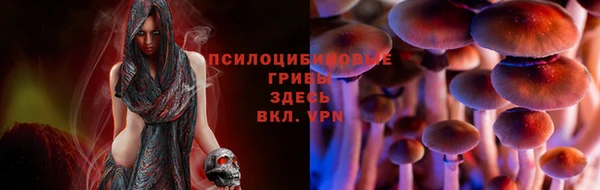таблы Алексин