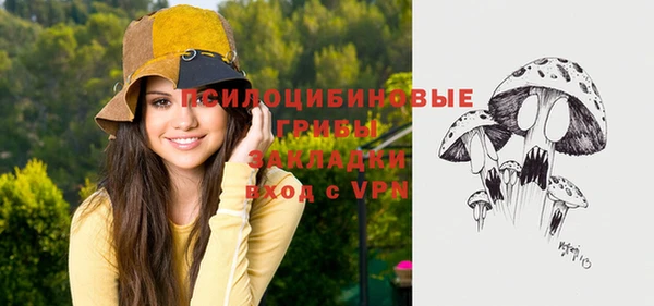 таблы Алексин