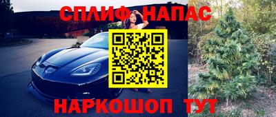 СК Донецк