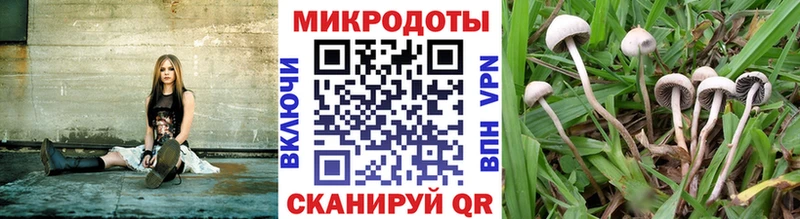 Псилоцибиновые грибы Psilocybe  даркнет сайт  Ухта 